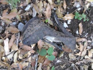 Un zapato de la cantante.