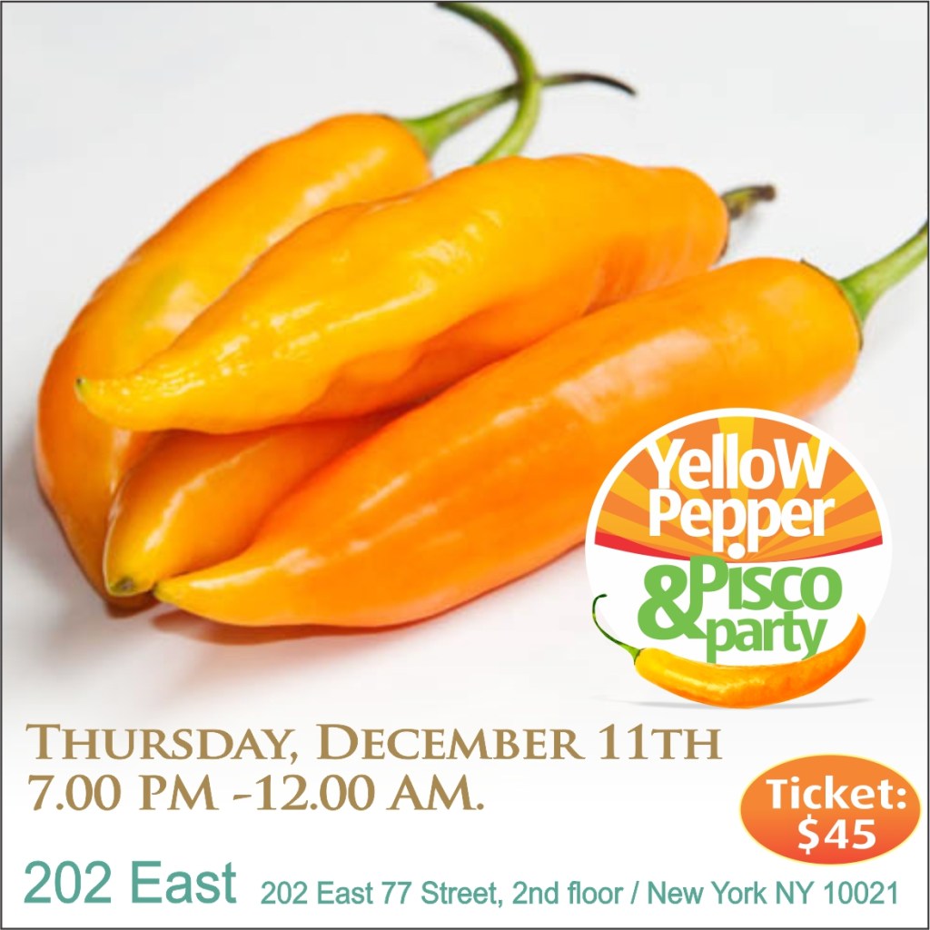 2014 AJI AMARILLO FLYER3